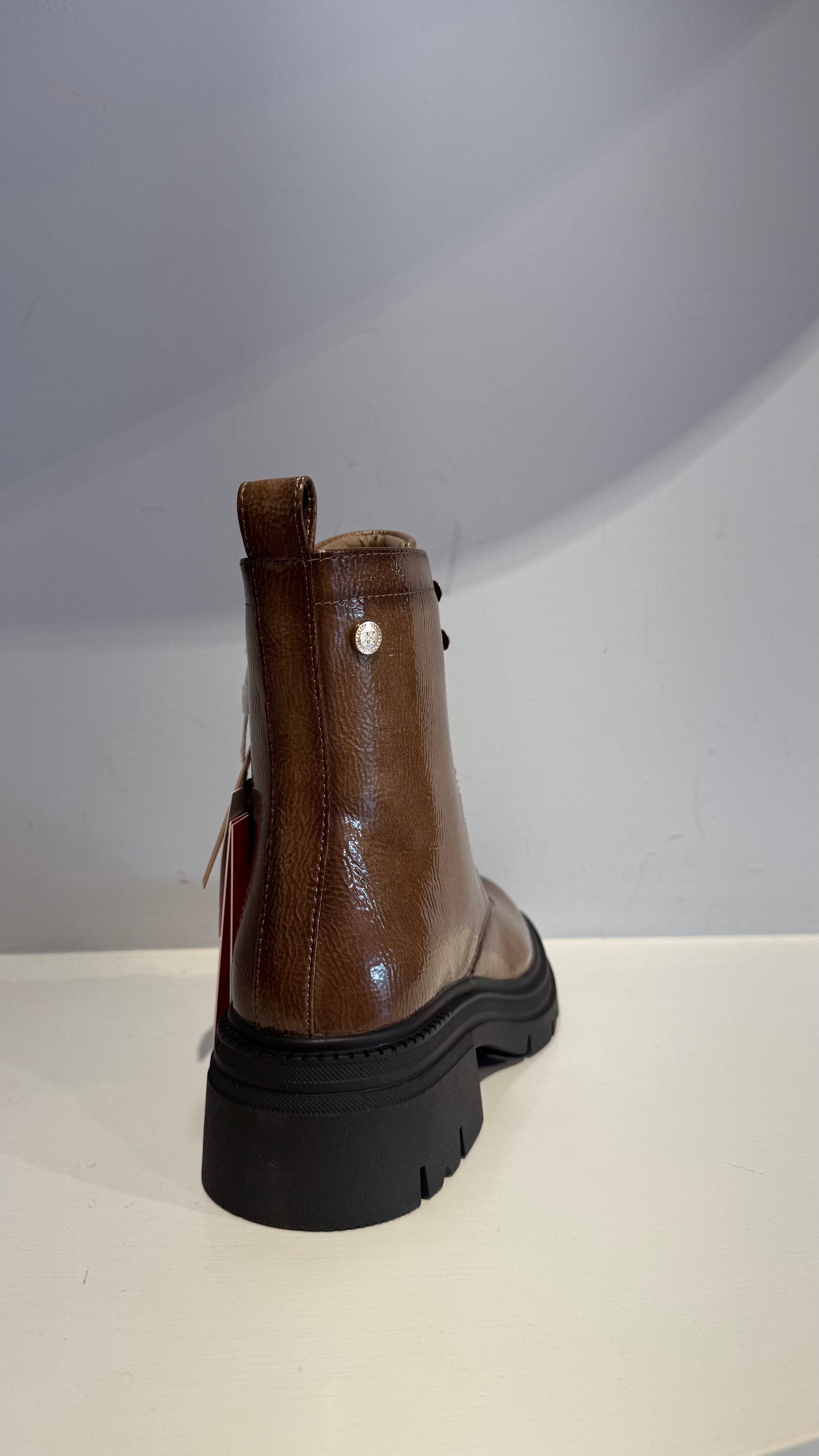 Anfibio similpelle lucida