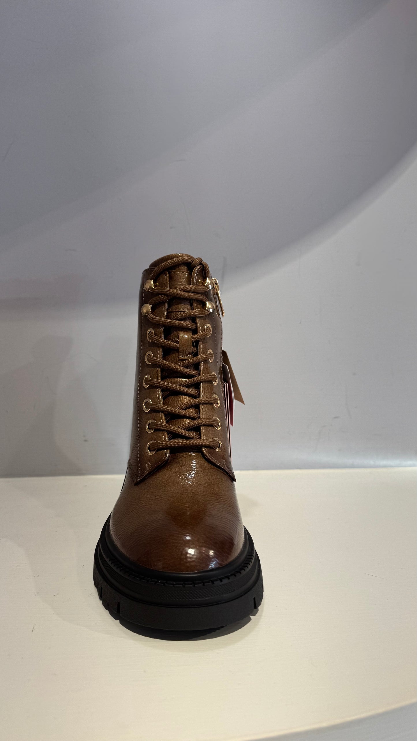 Anfibio similpelle lucida